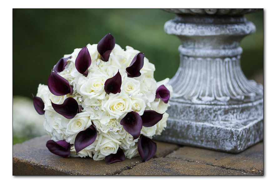 The Log Cabin Wedding Photography