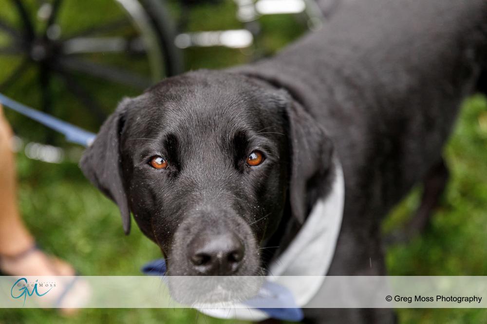 Warfield Inn Wedding