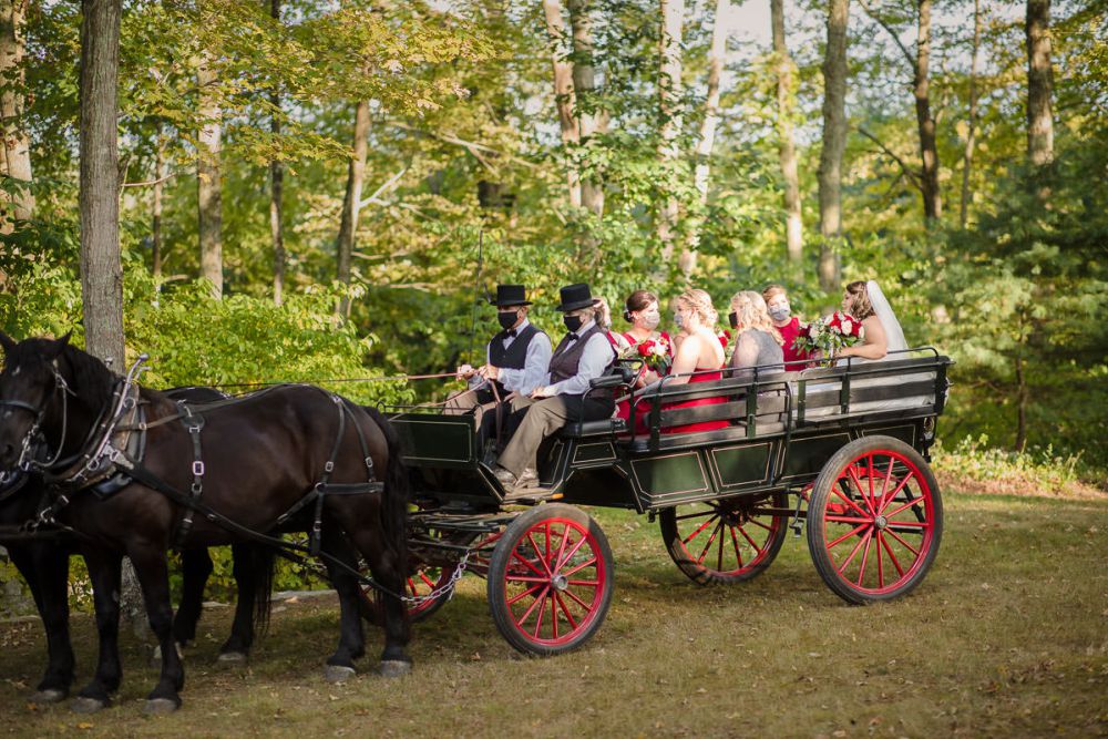 Wrights Mill Farm Wedding-15 Horse Carriage ride with bridal party at Wrights Mill Farm
