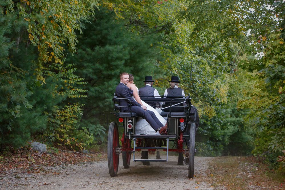 Wrights Mill Farm Wedding-20 Horse carriage ride processional at Wrights mill farm