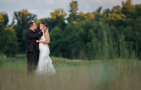 A bride and groom stand in a grassy field, looking at each other tenderly. The background features trees and a cloudy sky.