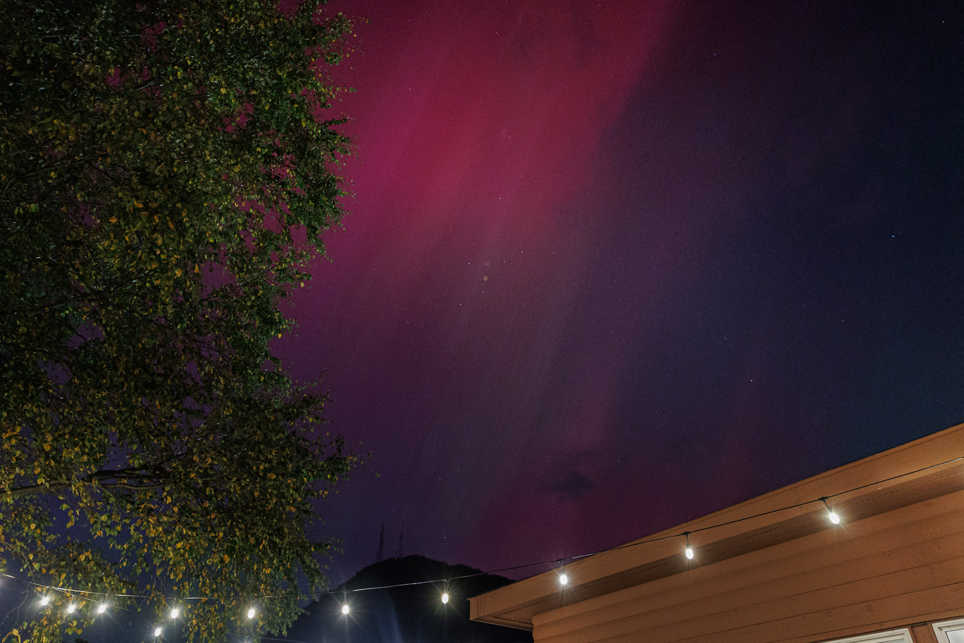 A sky with purple and pink hues at night, partially obscured by a tree on the left and a cozy lake house with twinkling string lights on the right, creates a perfect setting for an intimate wedding or weekend getaway at charming guest cottages.
